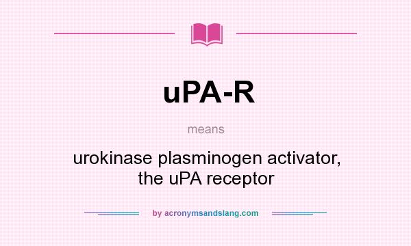 What does uPA-R mean? It stands for urokinase plasminogen activator, the uPA receptor