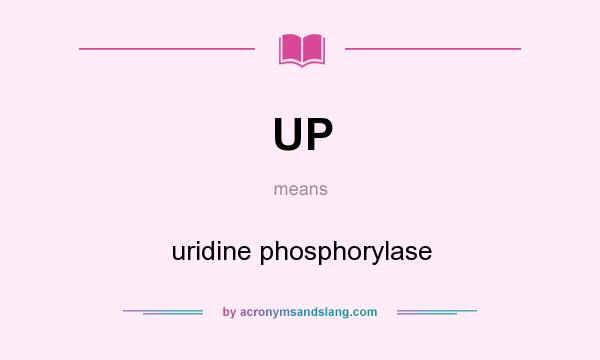 What does UP mean? It stands for uridine phosphorylase