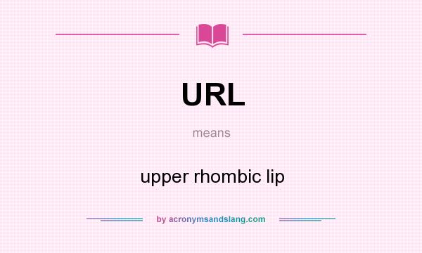 What does URL mean? It stands for upper rhombic lip