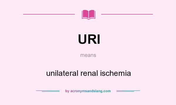 What does URI mean? It stands for unilateral renal ischemia