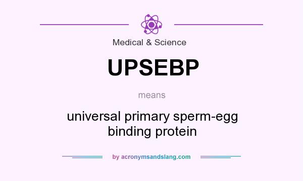 What does UPSEBP mean? It stands for universal primary sperm-egg binding protein