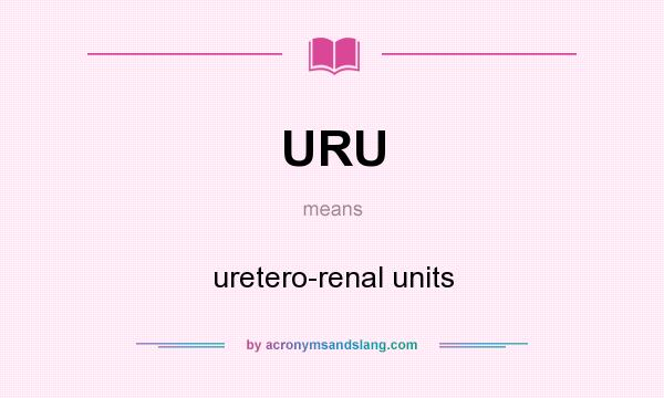 What does URU mean? It stands for uretero-renal units
