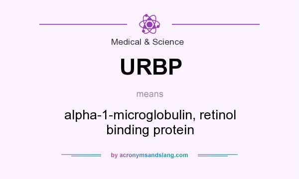 What does URBP mean? It stands for alpha-1-microglobulin, retinol binding protein