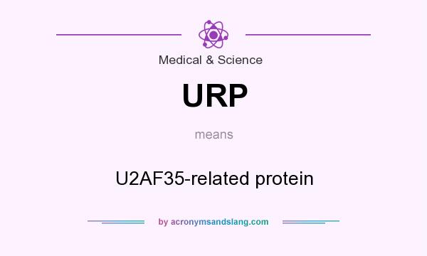 What does URP mean? It stands for U2AF35-related protein