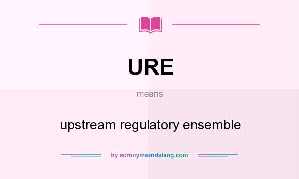 What does URE mean? It stands for upstream regulatory ensemble