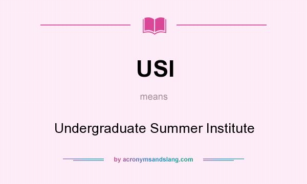 What does USI mean? It stands for Undergraduate Summer Institute