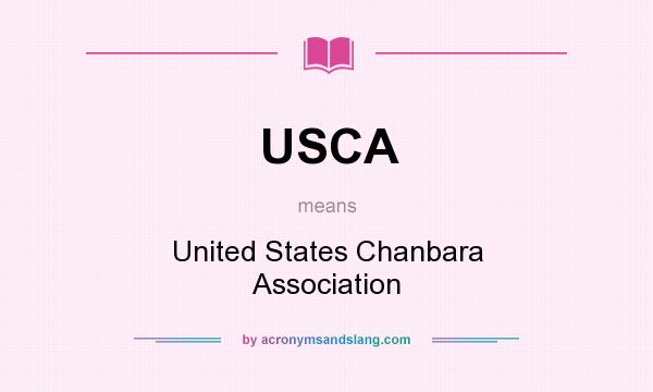 What does USCA mean? It stands for United States Chanbara Association