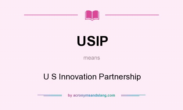 What does USIP mean? It stands for U S Innovation Partnership