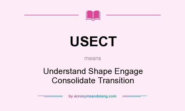 What does USECT mean? It stands for Understand Shape Engage Consolidate Transition