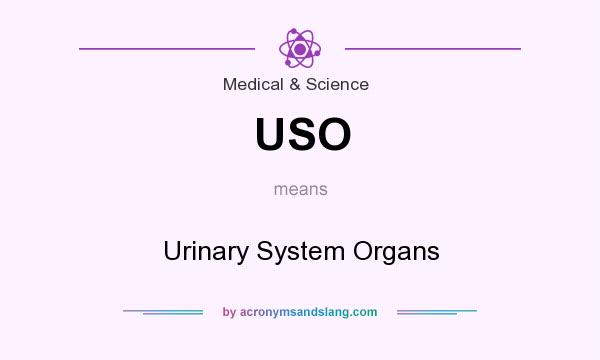 What does USO mean? It stands for Urinary System Organs