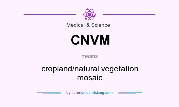 What does CNVM mean? It stands for cropland/natural vegetation mosaic