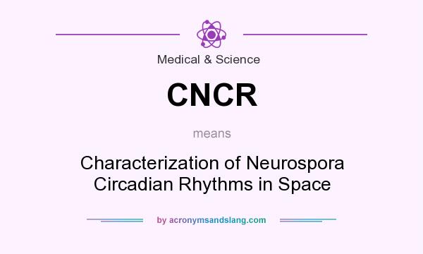 What does CNCR mean? It stands for Characterization of Neurospora Circadian Rhythms in Space
