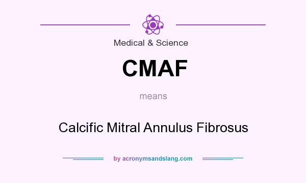 What does CMAF mean? It stands for Calcific Mitral Annulus Fibrosus