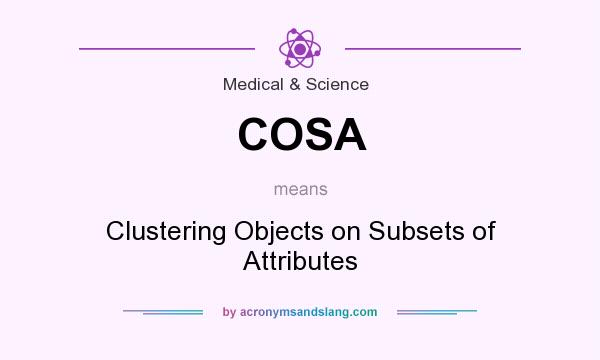 What does COSA mean? It stands for Clustering Objects on Subsets of Attributes