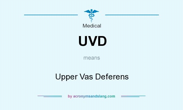 What does UVD mean? It stands for Upper Vas Deferens