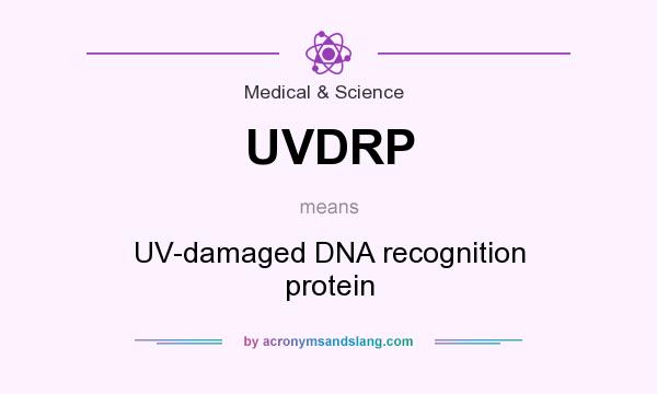 What does UVDRP mean? It stands for UV-damaged DNA recognition protein