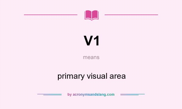 What does V1 mean? It stands for primary visual area