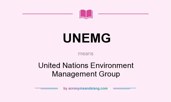 What does UNEMG mean? It stands for United Nations Environment Management Group