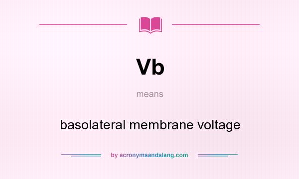 What does Vb mean? It stands for basolateral membrane voltage