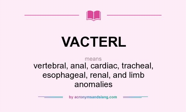 What does VACTERL mean? It stands for vertebral, anal, cardiac, tracheal, esophageal, renal, and limb anomalies