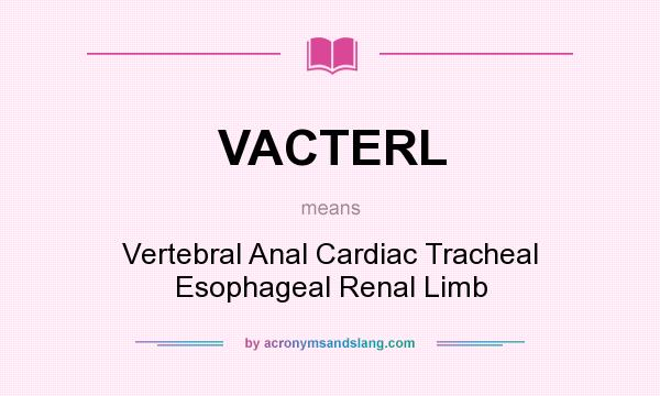 What does VACTERL mean? It stands for Vertebral Anal Cardiac Tracheal Esophageal Renal Limb