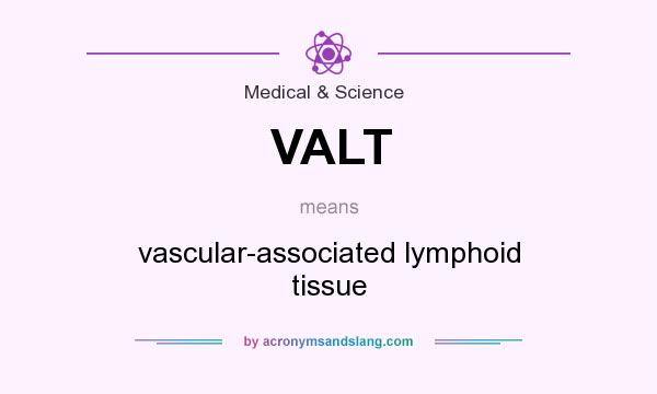 What does VALT mean? It stands for vascular-associated lymphoid tissue