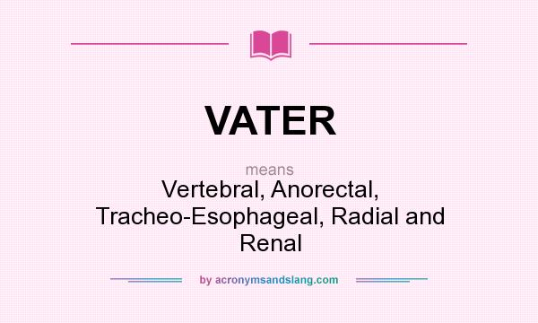 What does VATER mean? It stands for Vertebral, Anorectal, Tracheo-Esophageal, Radial and Renal
