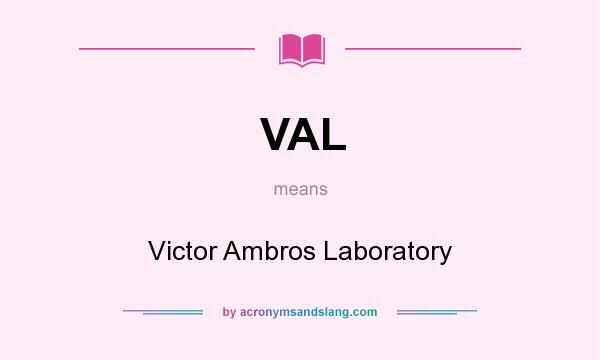 What does VAL mean? It stands for Victor Ambros Laboratory
