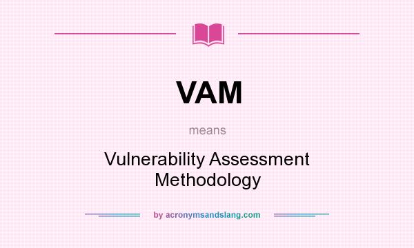 What does VAM mean? It stands for Vulnerability Assessment Methodology