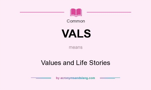What does VALS mean? It stands for Values and Life Stories