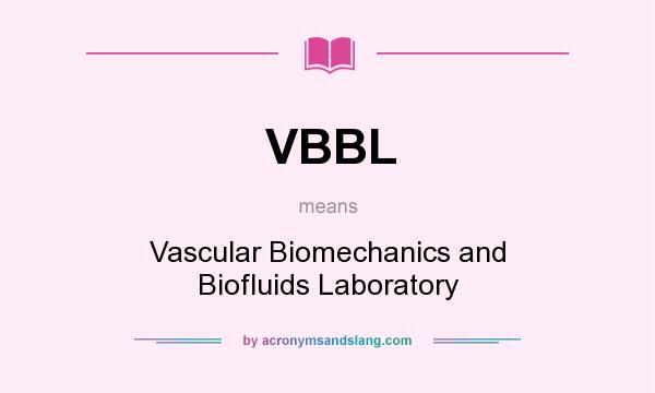 What does VBBL mean? It stands for Vascular Biomechanics and Biofluids Laboratory