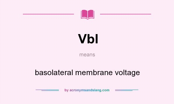 What does Vbl mean? It stands for basolateral membrane voltage