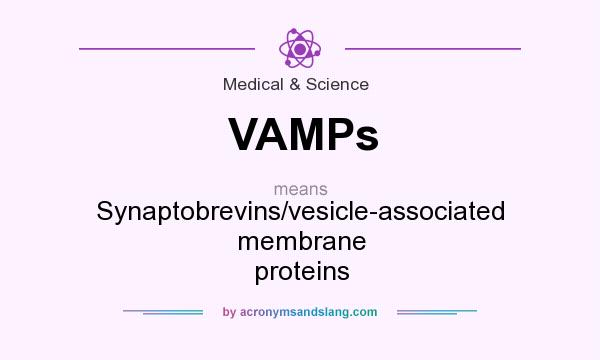 What does VAMPs mean? It stands for Synaptobrevins/vesicle-associated membrane proteins