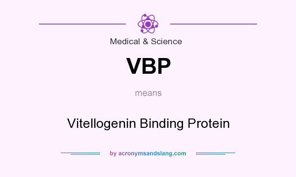 What does VBP mean? It stands for Vitellogenin Binding Protein