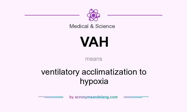What does VAH mean? It stands for ventilatory acclimatization to hypoxia