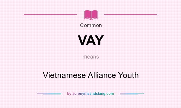 What does VAY mean? It stands for Vietnamese Alliance Youth