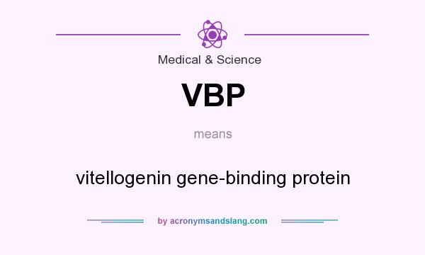 What does VBP mean? It stands for vitellogenin gene-binding protein