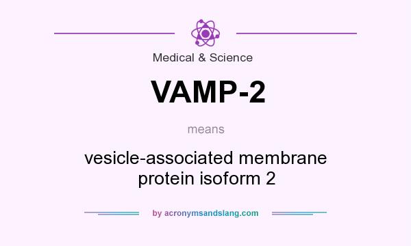 What does VAMP-2 mean? It stands for vesicle-associated membrane protein isoform 2