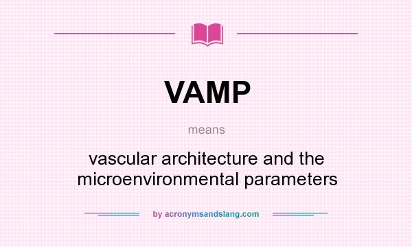 What does VAMP mean? It stands for vascular architecture and the microenvironmental parameters