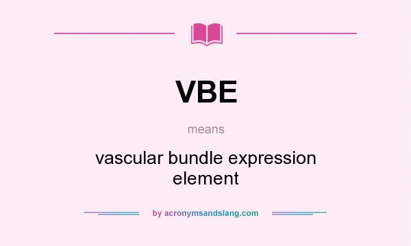 What does VBE mean? It stands for vascular bundle expression element
