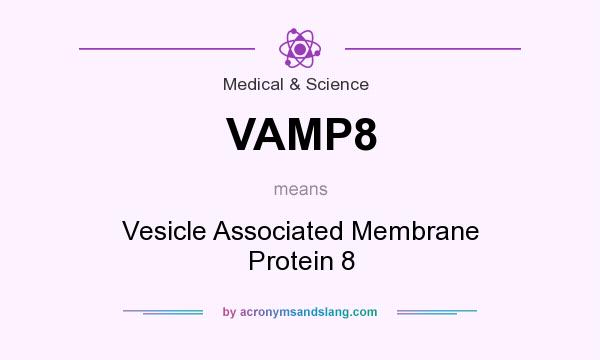What does VAMP8 mean? It stands for Vesicle Associated Membrane Protein 8