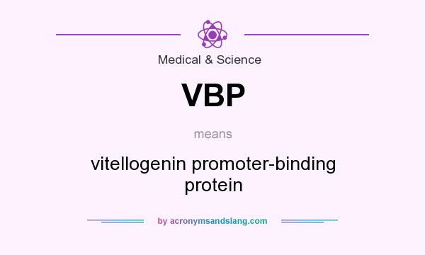 What does VBP mean? It stands for vitellogenin promoter-binding protein