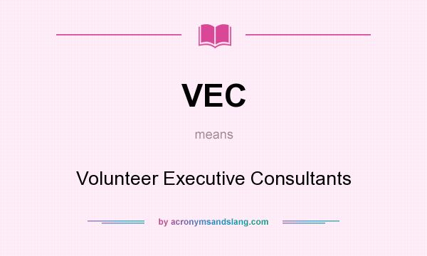 What does VEC mean? It stands for Volunteer Executive Consultants