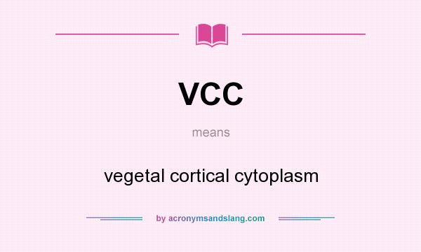 What does VCC mean? It stands for vegetal cortical cytoplasm