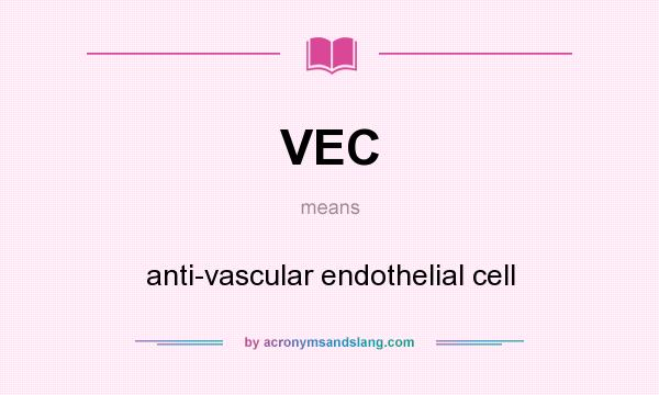 What does VEC mean? It stands for anti-vascular endothelial cell