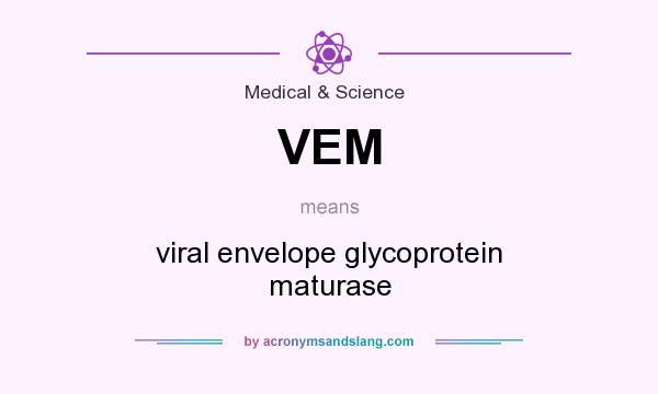 What does VEM mean? It stands for viral envelope glycoprotein maturase