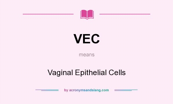 What does VEC mean? It stands for Vaginal Epithelial Cells