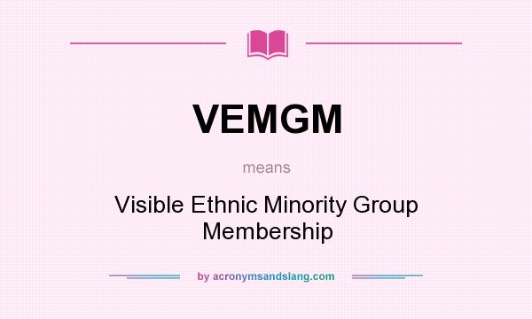 What does VEMGM mean? It stands for Visible Ethnic Minority Group Membership