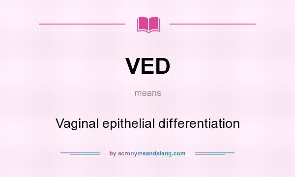 What does VED mean? It stands for Vaginal epithelial differentiation