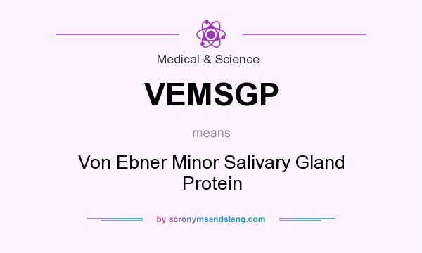 What does VEMSGP mean? It stands for Von Ebner Minor Salivary Gland Protein